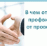 В чем отличие профвизита от проверки?. - Вашкинский муниципальный округ